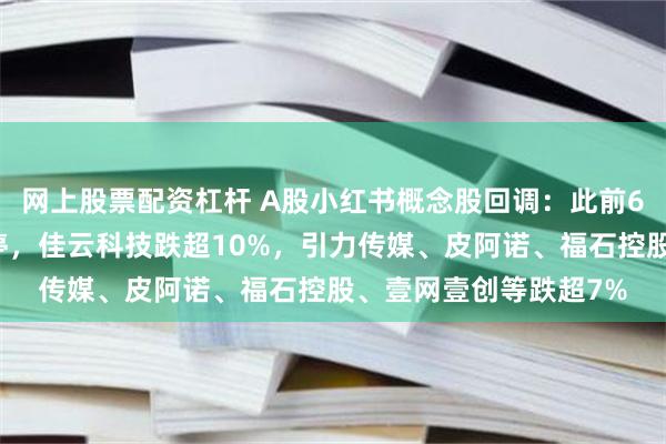 网上股票配资杠杆 A股小红书概念股回调：此前6连板来伊份一字板跌停，佳云科技跌超10%，引力传媒、皮阿诺、福石控股、壹网壹创等跌超7%