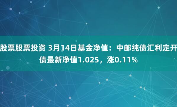 股票股票投资 3月14日基金净值：中邮纯债汇利定开债最新净值1.025，涨0.11%