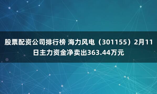 股票配资公司排行榜 海力风电（301155）2月11日主力资金净卖出363.44万元