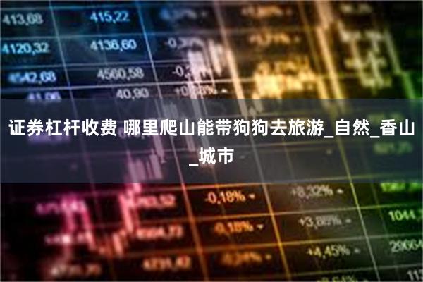 证券杠杆收费 哪里爬山能带狗狗去旅游_自然_香山_城市