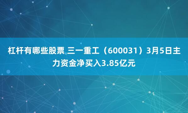 杠杆有哪些股票 三一重工（600031）3月5日主力资金净买入3.85亿元