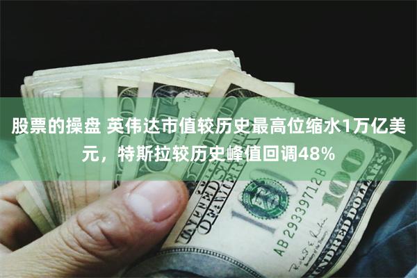 股票的操盘 英伟达市值较历史最高位缩水1万亿美元，特斯拉较历史峰值回调48%