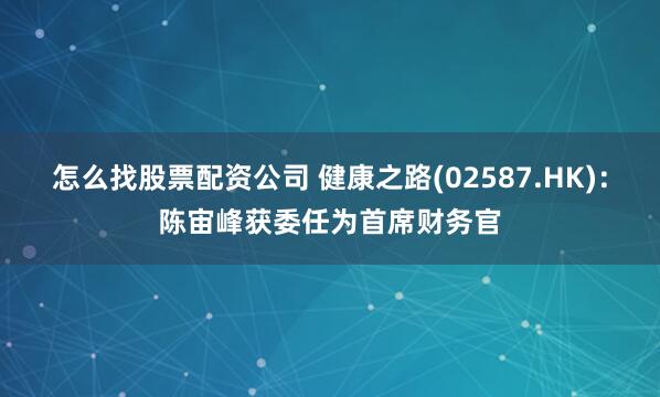 怎么找股票配资公司 健康之路(02587.HK)：陈宙峰获委任为首席财务官