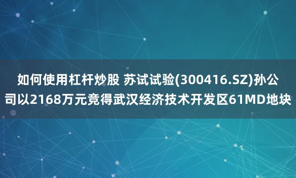如何使用杠杆炒股 苏试试验(300416.SZ)孙公司以2168万元竞得武汉经济技术开发区61MD地块