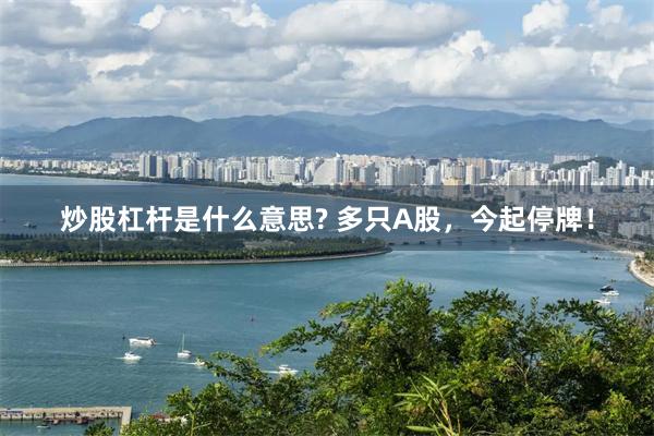 炒股杠杆是什么意思? 多只A股，今起停牌！