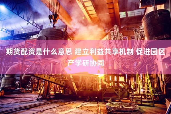 期货配资是什么意思 建立利益共享机制 促进园区产学研协同