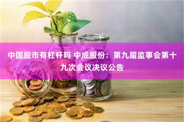 中国股市有杠杆吗 中成股份：第九届监事会第十九次会议决议公告