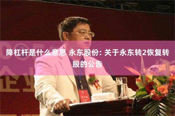 降杠杆是什么意思 永东股份: 关于永东转2恢复转股的公告