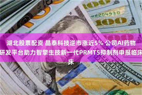 湖北股票配资 晶泰科技逆市涨近5% 公司AI药物研发平台助力智擎生技新一代PRMT5抑制剂申报临床