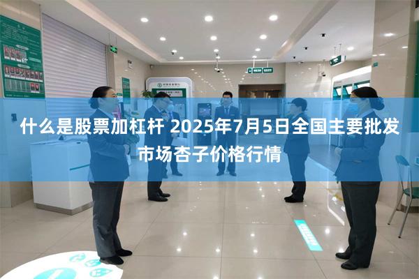 什么是股票加杠杆 2025年7月5日全国主要批发市场杏子价格行情