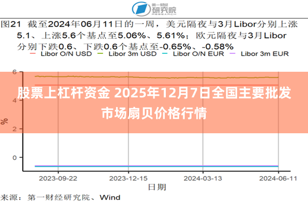 股票上杠杆资金 2025年12月7日全国主要批发市场扇贝价格行情
